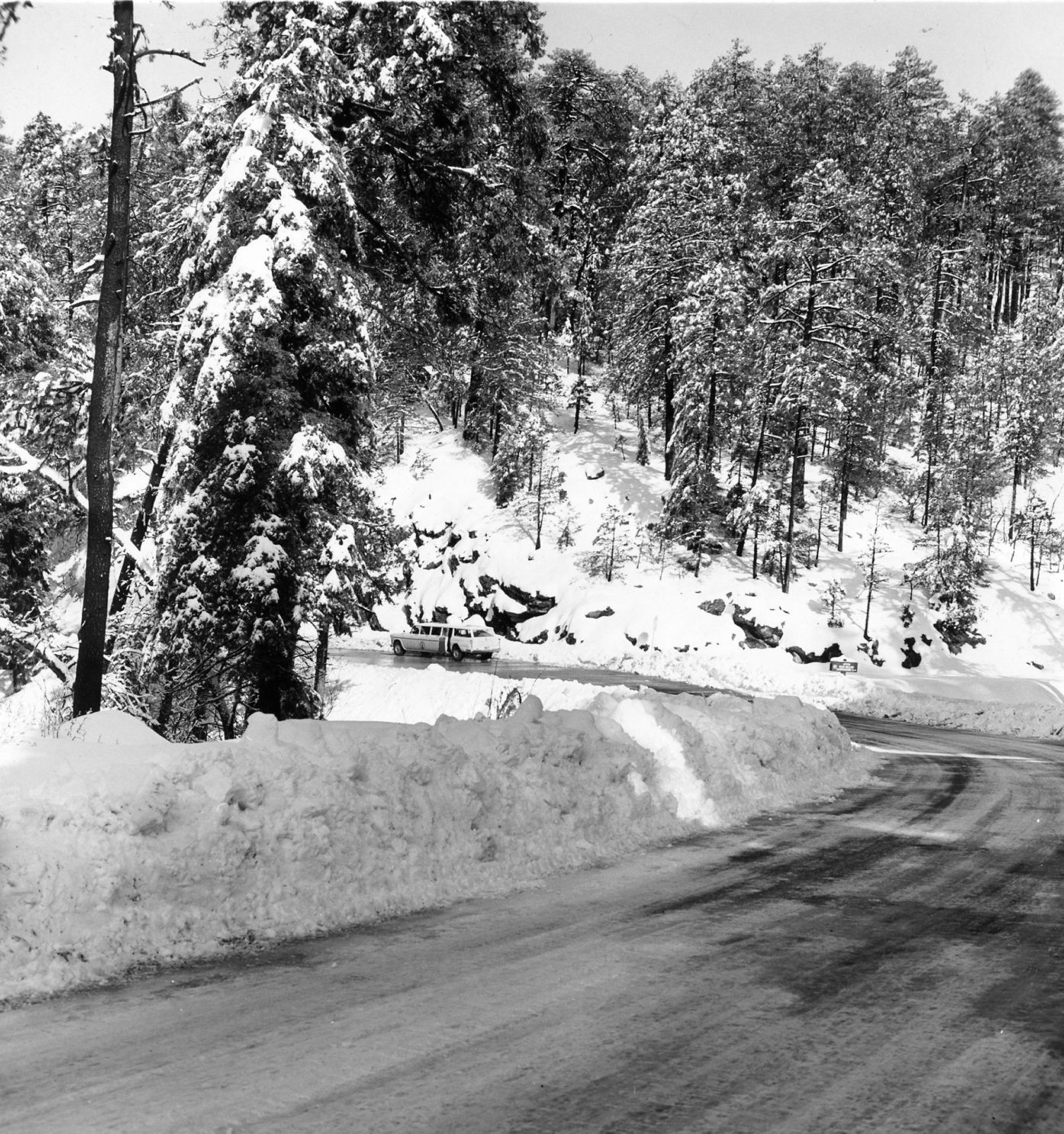 Snowy Roadway Atop Mt. Lemmon